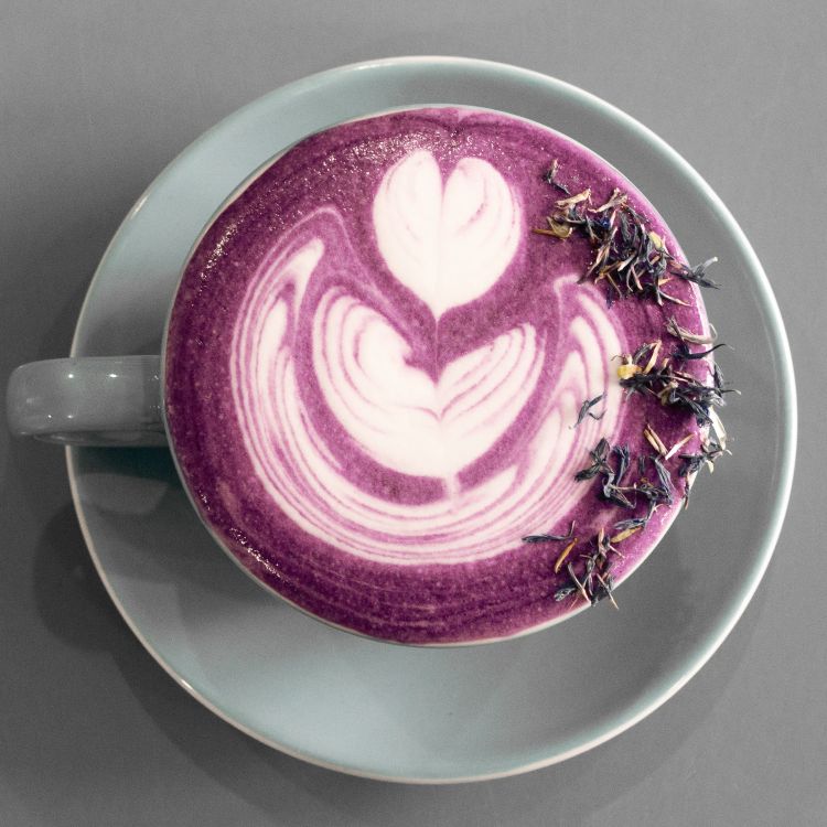 Ube Latte